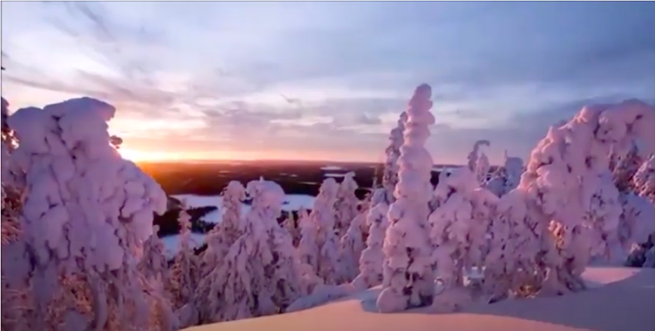 フィンランドの美しい自然が守られますように。