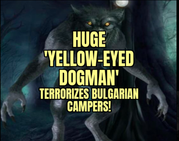 巨大な「黄色い目の犬男」がブルガリアのキャンパーを恐怖に陥れる!