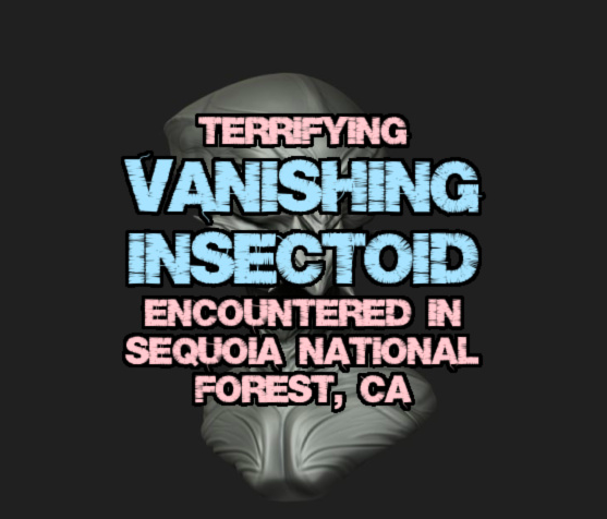 カリフォルニア州セコイア国有林で遭遇した恐怖の「消える昆虫型生物」