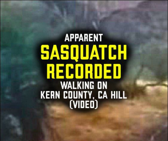 カリフォルニア州カーン郡の丘の上を歩くサスカッチの姿が撮影される（動画）。